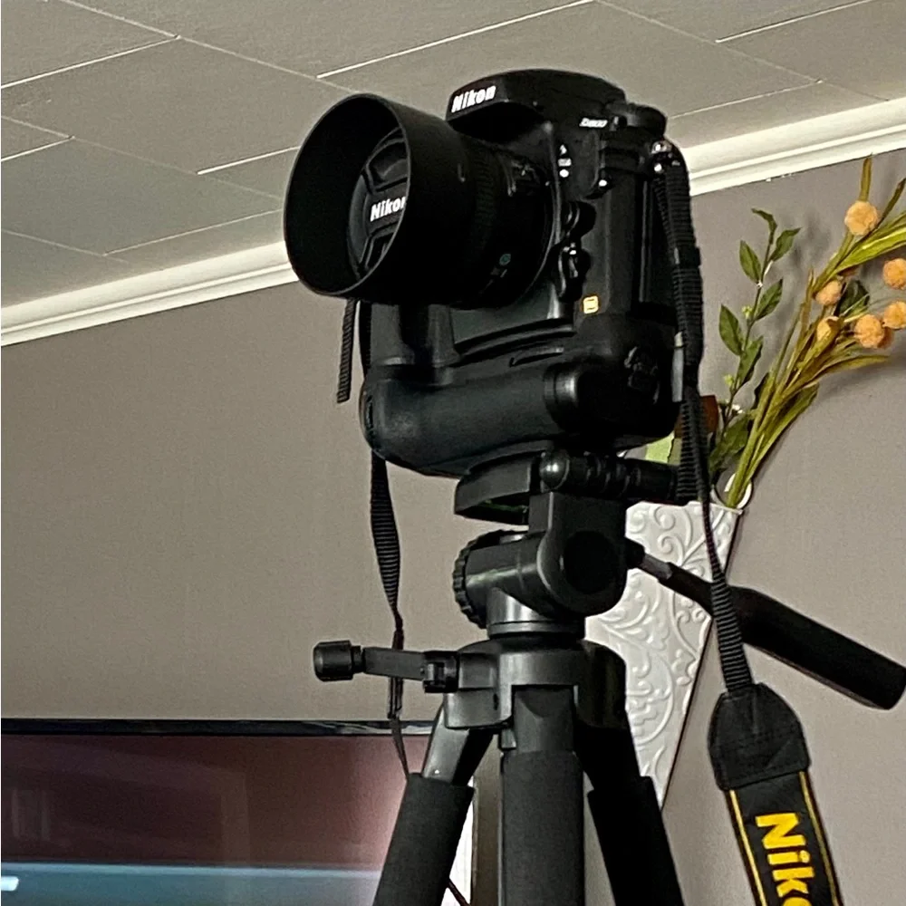 Nikon D800